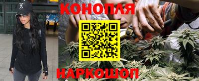 спайс Моздок