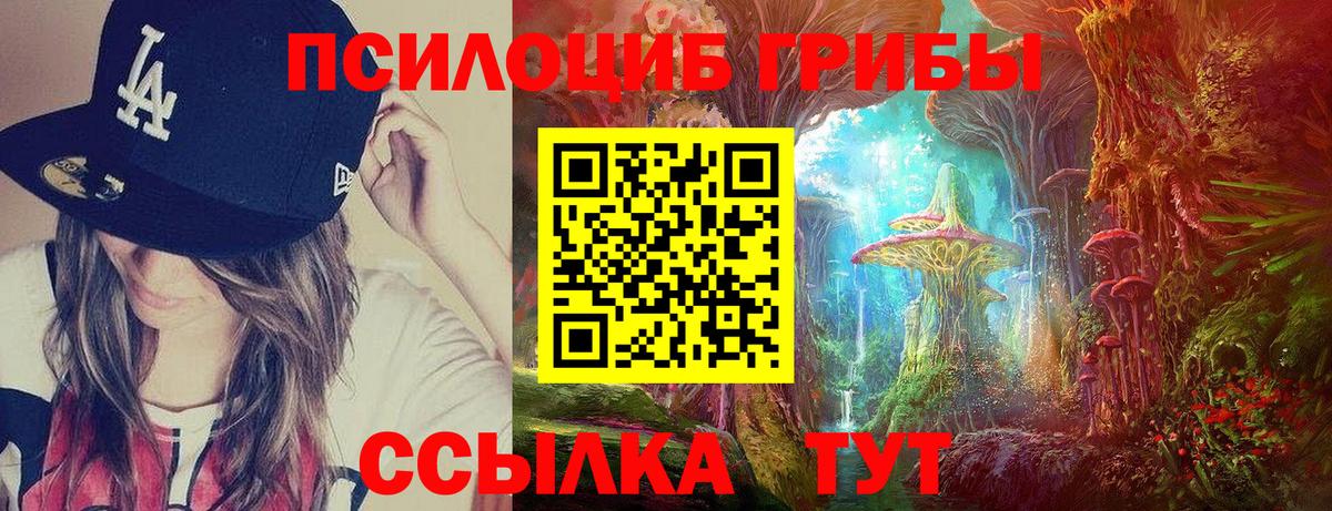 Бор  Псилоцибиновые грибы мицелий  Вход с VPN 